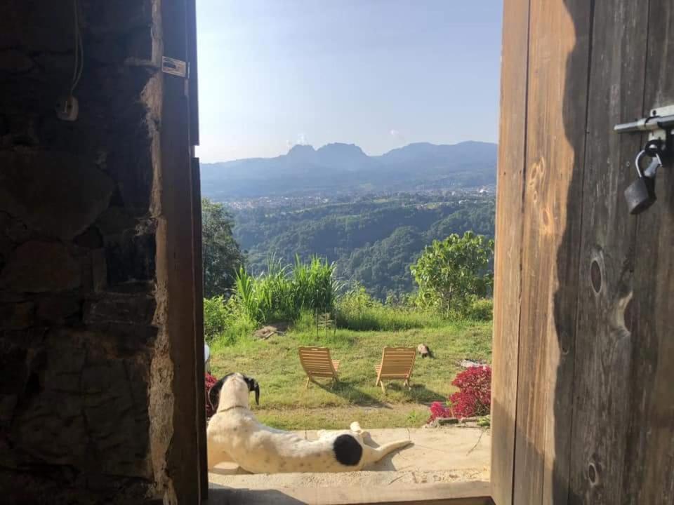 Cabanas Buenavista Huauchinango Eksteriør billede