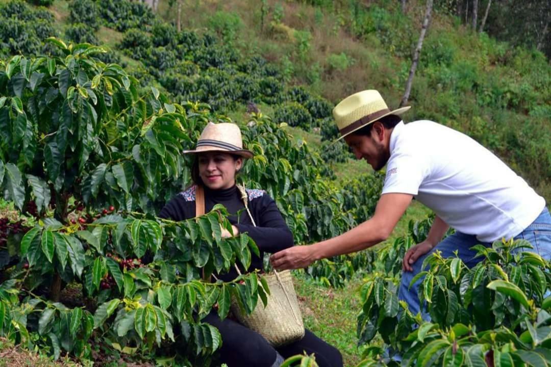 Cabanas Buenavista Huauchinango Eksteriør billede